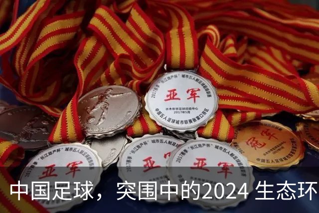 中国足球，突围中的2024 生态环境将实现好转